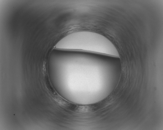 X0000071850127200606301140