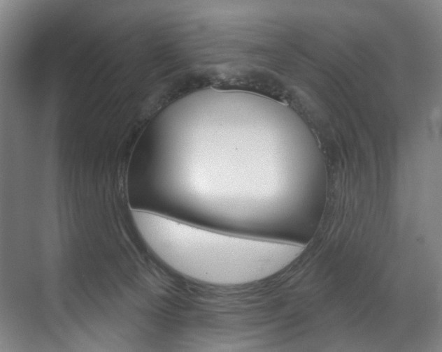 X0000071850129200606301140