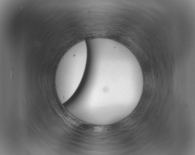 X0000071850130200606301140