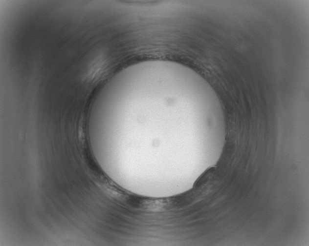 X0000071850131200606301140