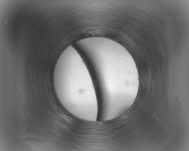 X0000071850132200606301139