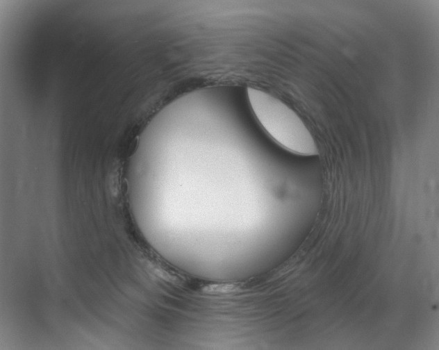 X0000071850133200606301139