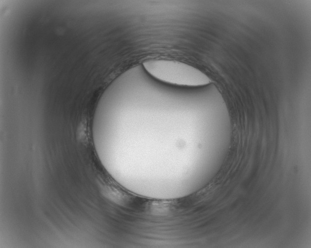 X0000071850134200606301139