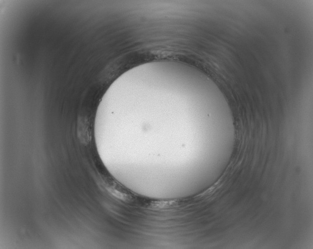 X0000071850136200606301139