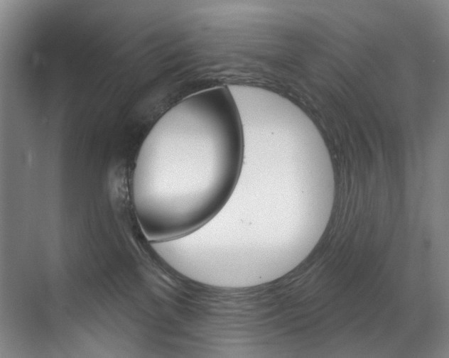 X0000071850137200606301139