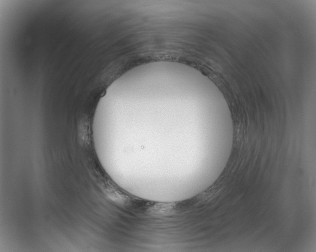 X0000071850138200606301139