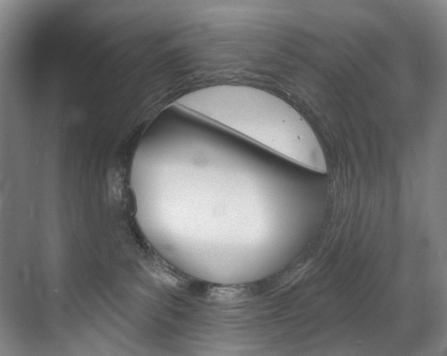 X0000071850139200606301139