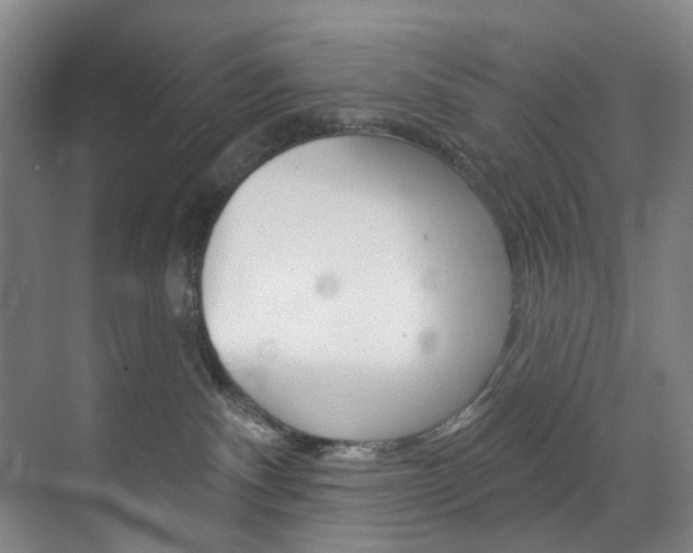 X0000071850140200606301139