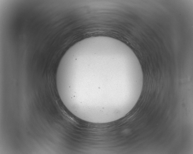 X0000071850141200606301139