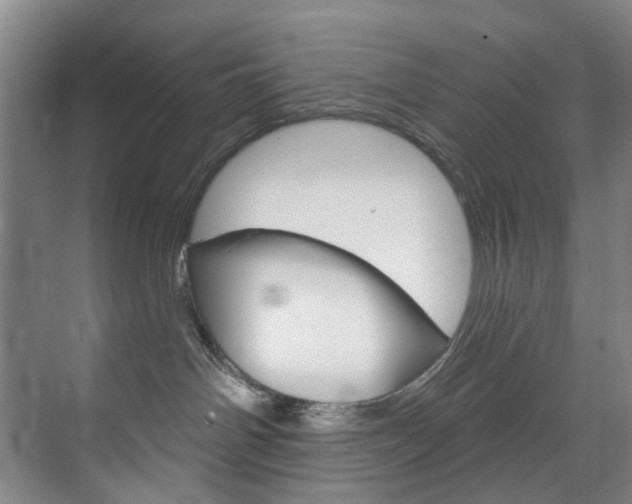 X0000071850142200606301139