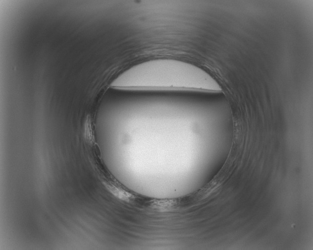 X0000071850143200606301139