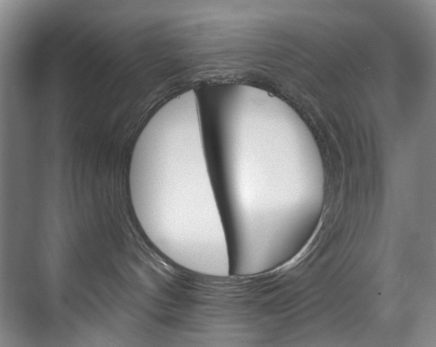 X0000071850144200606301139