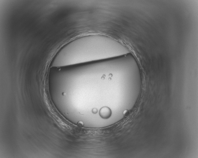 X0000071850145200606301138