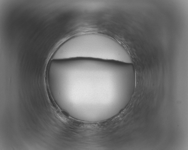 X0000071850147200606301139