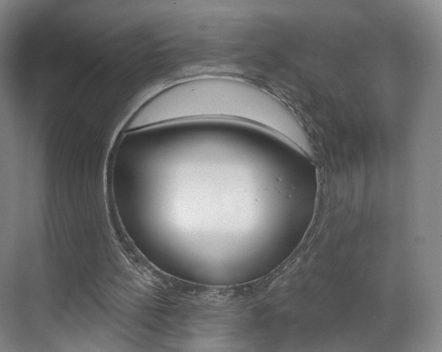 X0000071850148200606301139