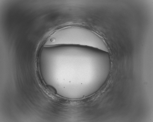 X0000071850149200606301139