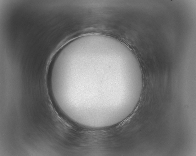 X0000071850150200606301139