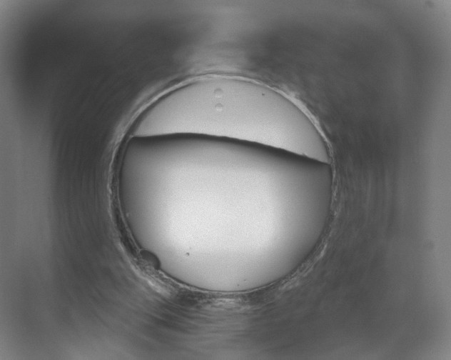 X0000071850151200606301139