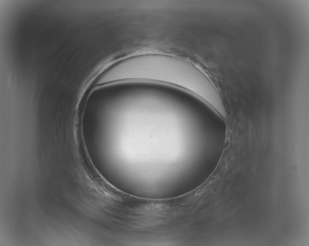 X0000071850152200606301139