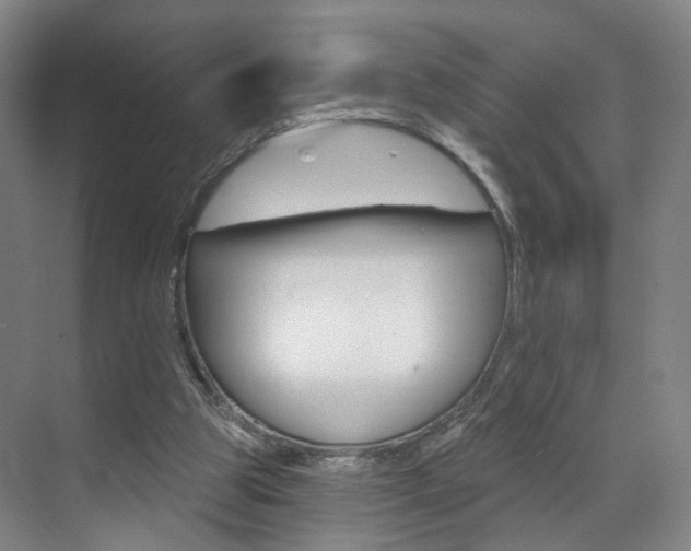 X0000071850153200606301139