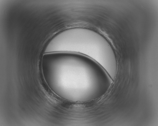 X0000071850154200606301139