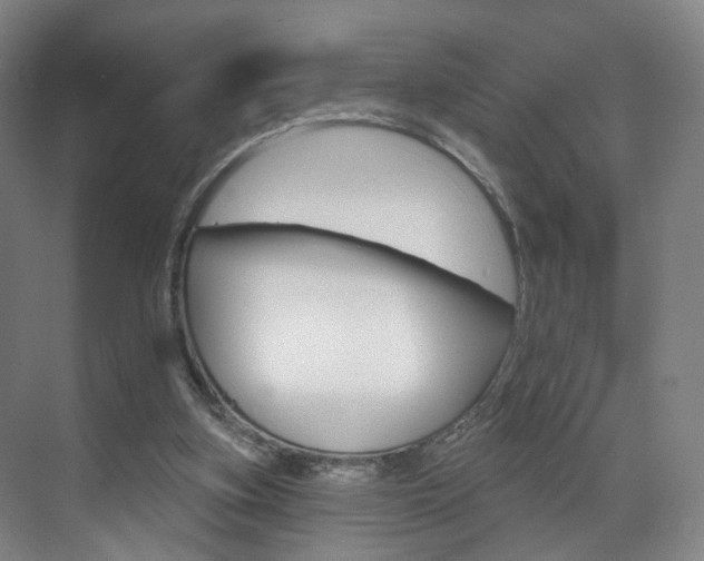 X0000071850155200606301139