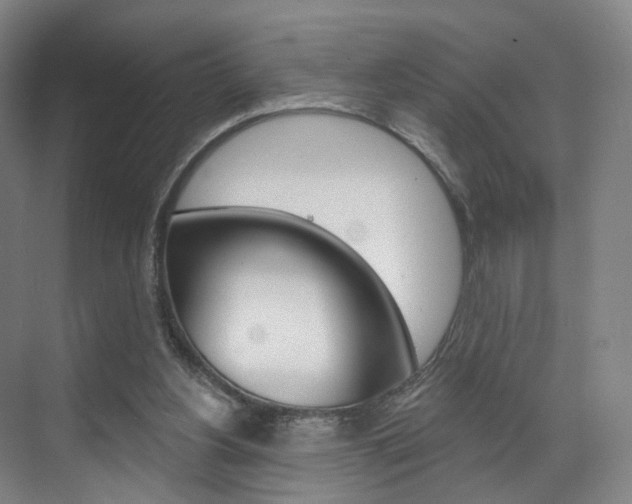 X0000071850156200606301139