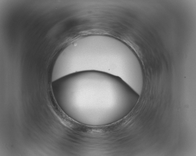 X0000071850157200606301139