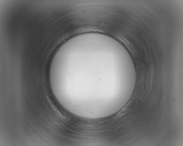 X0000071850158200606301139