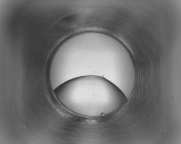 X0000071850159200606301139