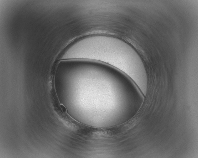 X0000071850160200606301139