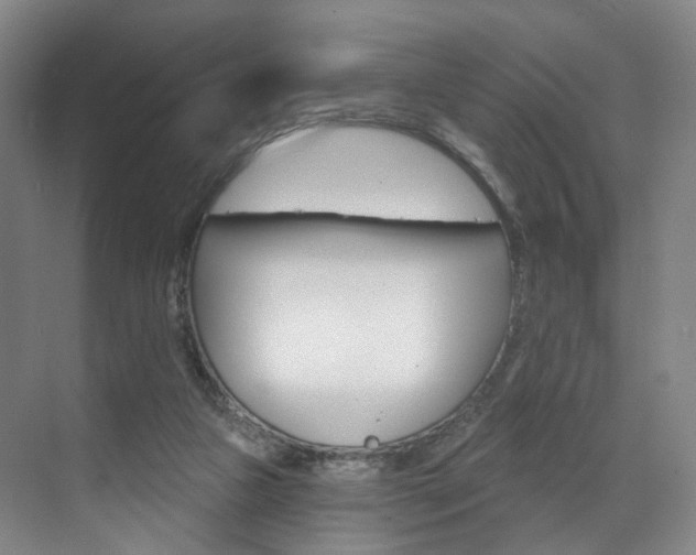 X0000071850161200606301139