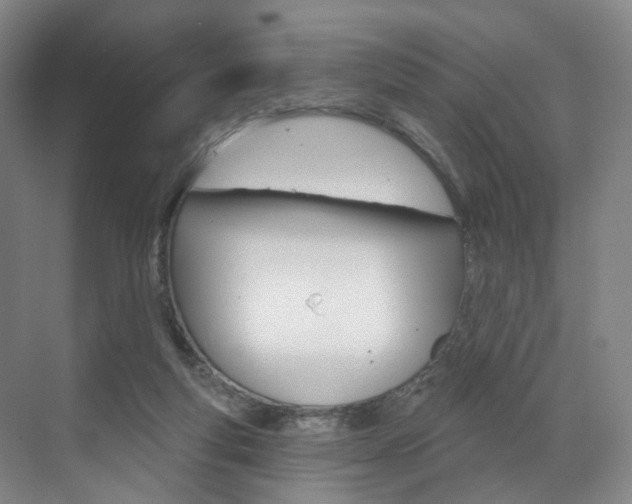 X0000071850163200606301139