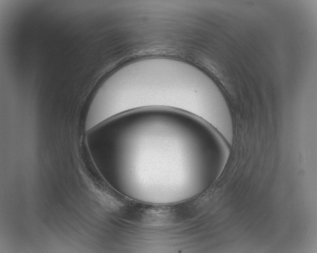 X0000071850164200606301139