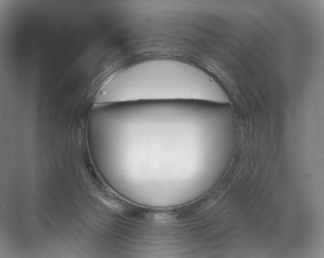 X0000071850165200606301139