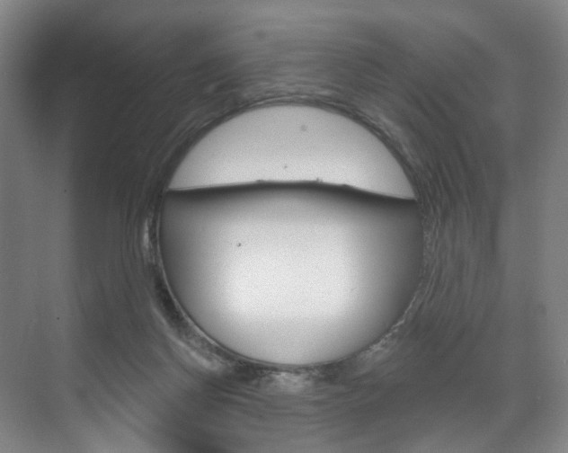 X0000071850166200606301139