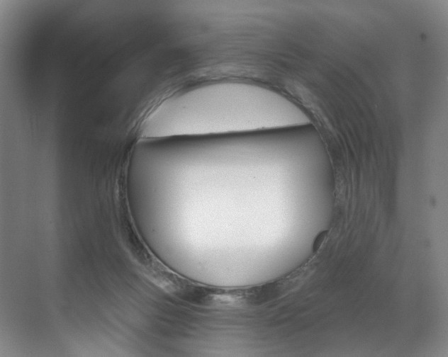 X0000071850167200606301139