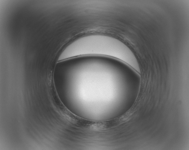 X0000071850168200606301139