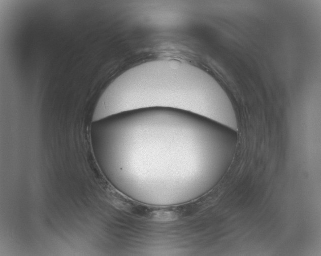 X0000071850169200606301139