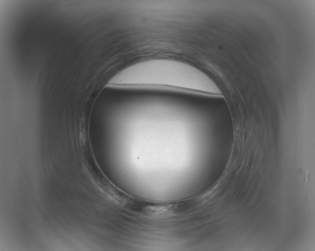 X0000071850170200606301139