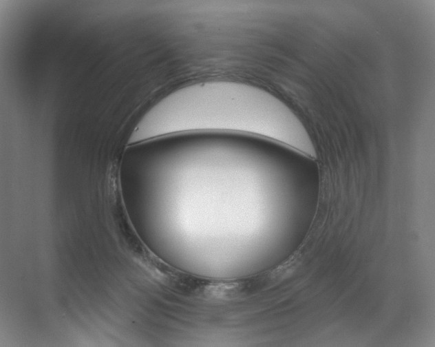 X0000071850172200606301139