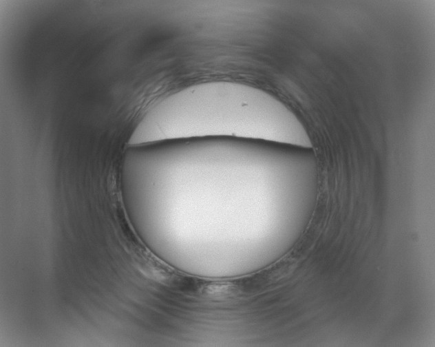 X0000071850173200606301139