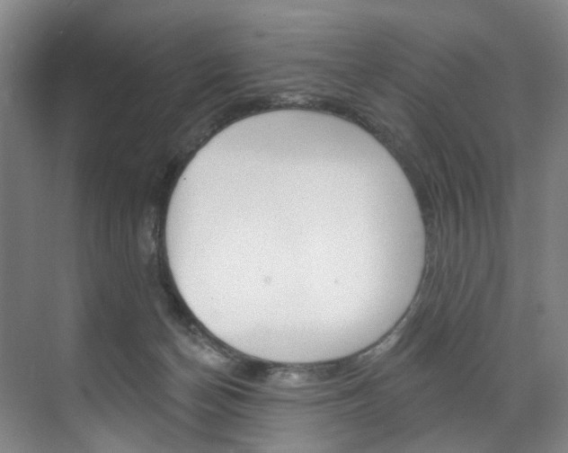 X0000071850174200606301139