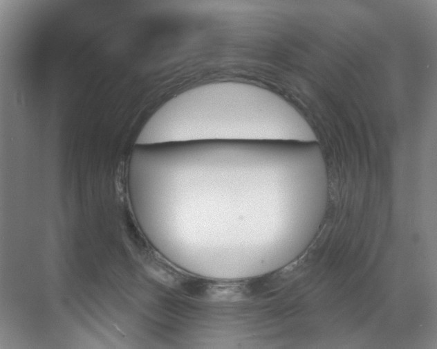 X0000071850175200606301139