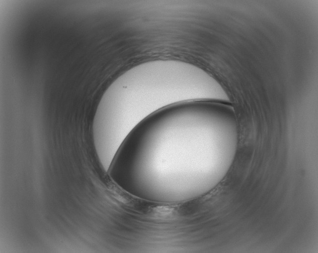 X0000071850176200606301139