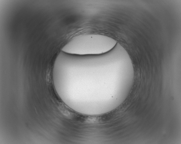 X0000071850177200606301139