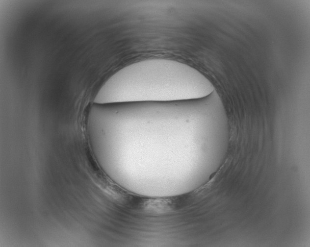 X0000071850179200606301139