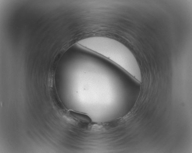 X0000071850180200606301139