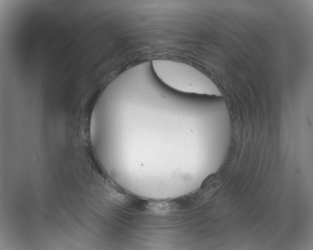 X0000071850181200606301139