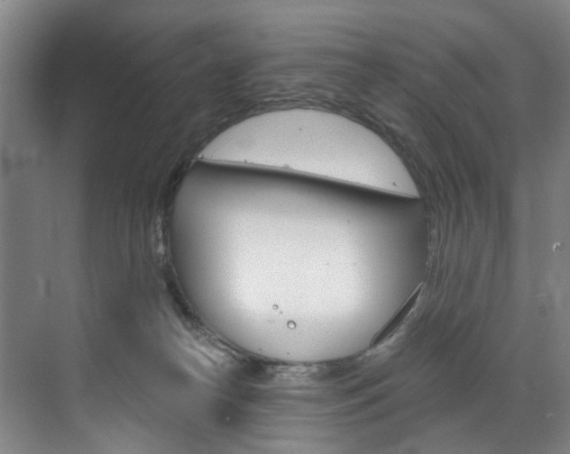 X0000071850182200606301139